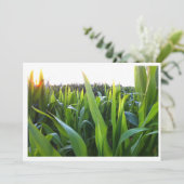 Vorlage für die Einladung von Maisfeldernte-Foto (Stehend Vorderseite)