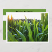 Vorlage für die Einladung von Maisfeldernte-Foto (Vorne/Hinten)