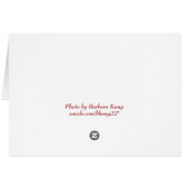 Vorlage für die Liebe der rote Rose (Rückseite Horizontal)
