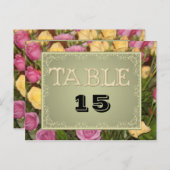 VORLAGE FÜR DIE PLATTE DER PLATTE FÜR DIE PLATTENK POSTKARTE (Vorne/Hinten)