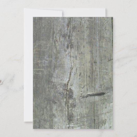 Vorlage für die Rustikale Schweinereierregung (Rückseite)