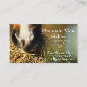 Vorlage für die Western-Visitenkarte Visitenkarte (Vorderseite)