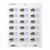 Vorlage für grüne Iguana-Rücksendeadresse Adressaufkleber (Vorne)