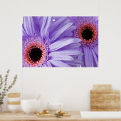 Vorlage für lila, rosa Daisy-Daten Poster (Küche)