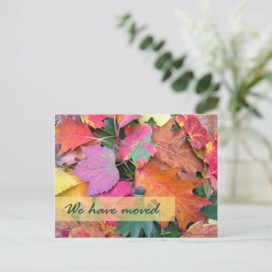 Vorlage für neue Adresse im Forest Floor (Stehend Vorderseite)