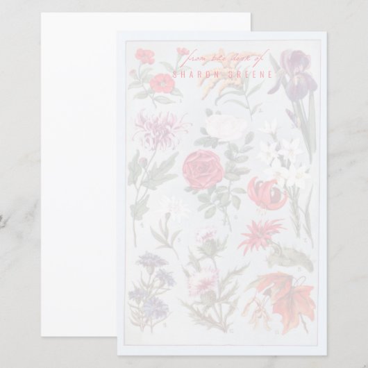 Vorlage für personalisierte Stationierung (Vorne/Hinten)