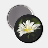 Vorlage für runde Magnete Magnet (Vorderseite/Rückseite)