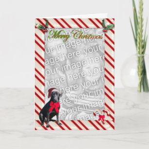 Vorlage für schwarze Lab Candy Cane