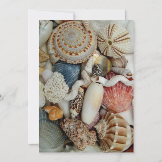 Vorlage für Seashells Coastal Wedding Menu (Rückseite)