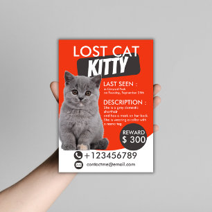 Vorlage für verlorenen Cat-Flyer - Anpassbare Verm Flyer