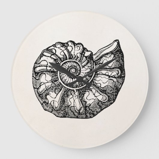 Vorlage für Vintage Ammonite Seashell Fossilien-Mu Große Wanduhr (Vorderseite)