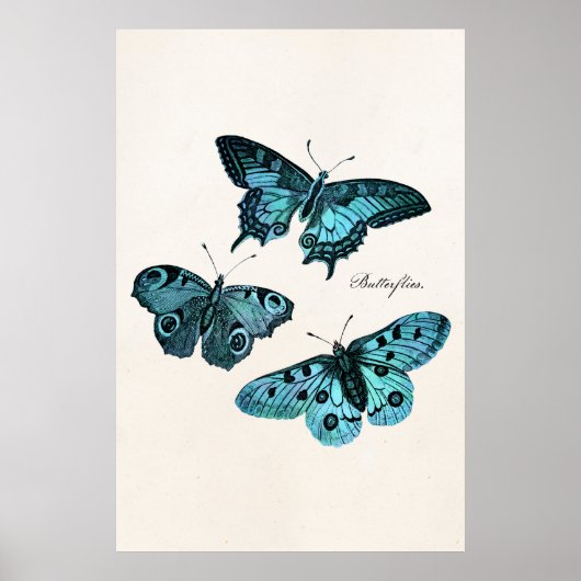 Vorlage für Vintage Aquamarine Blauer Schmetterlin Poster (Vorne)