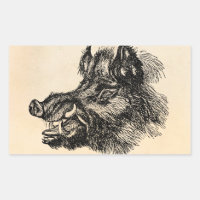 Vorlage für Vintage Wildschweine mit Stoßzähnen