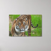 Vorlage Leinwanddruck (Vorderseite)