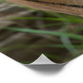 Vorlage Poster (Ecke)