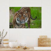 Vorlage Poster (Küche)