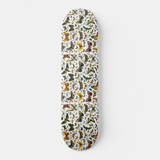 Vorlage Skateboard (Vorderseite)