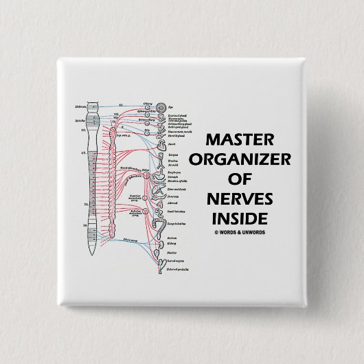 Vorlagenorganisator des Nerven-Inneres (autonom) Button (Vorderseite)