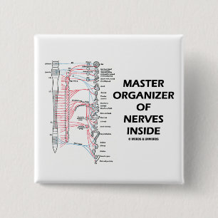 Vorlagenorganisator des Nerven-Inneres (autonom) Button