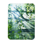 Vormittag im Wald Magnet (Vertikal)