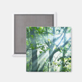 Vormittag im Wald Magnet (Vorderseite/Rückseite)