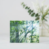 Vormittag im Wald Postkarte (Stehend Vorderseite)
