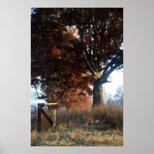 Vormittag in Tennessee Poster (Vorne)