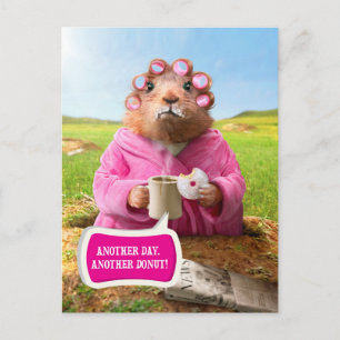 Vormittags Groundhog mit Frühstück Donut und Kaffe Postkarte