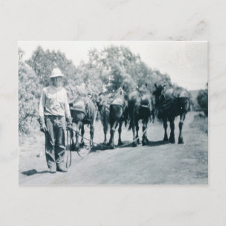 Vormittagsarbeit Postkarte