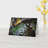 Vormittagskuppe, Karte (Gelbe Blume)