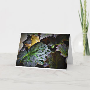 Vormittagskuppe, Karte