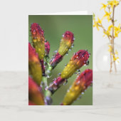 Vormittagskuppe, Karte (Gelbe Blume)