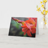 Vormittagskuppe, Karte (Gelbe Blume)