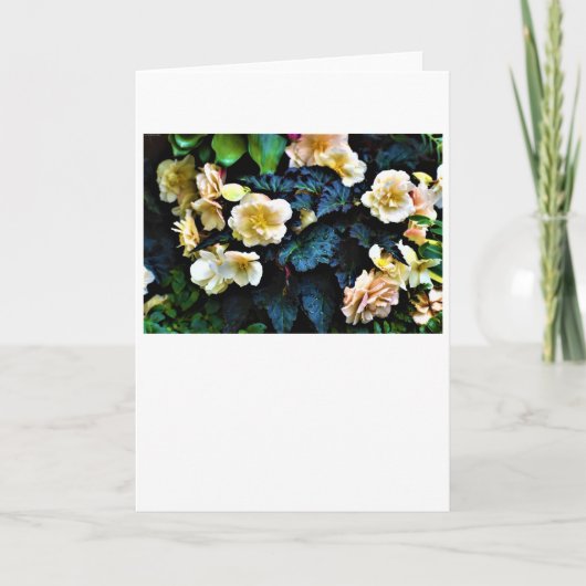 Vormittagskuppe, Karte (Vorderseite)