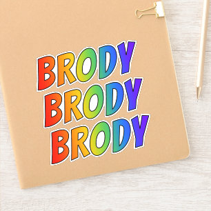 Vorname "BRODY" mit Spaß-Regenbogen-Farbton Aufkleber