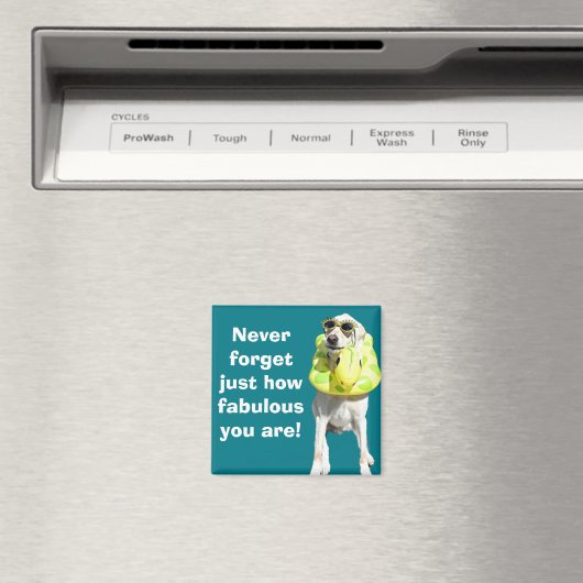 vornehm magnet (In Situ (Geschirrspüler))