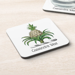 Vornehmes Heraldisch Pineapple Wappen Wappenschild Untersetzer
