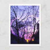 Vorort in Südkalifornien Postkarte (Vorderseite)