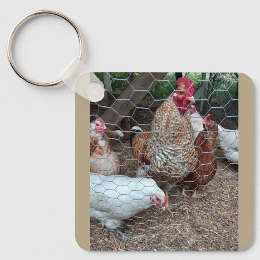 Vorschriften für den Wohnungsbau Schlüsselanhänger (Vorderseite)