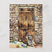 Vorsicht bei der Hauskatze Wild Tiger an der Hütte Postkarte (Vorderseite)