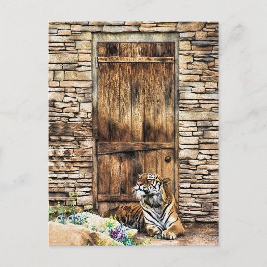 Vorsicht bei der Hauskatze Wild Tiger an der Hütte Postkarte (Vorderseite)