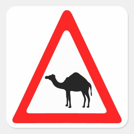 Vorsicht, Camel überquert Verkehrszeichen Quadratischer Aufkleber (Vorderseite)