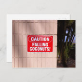 Vorsicht - Fallende Kokosnüsse! Postkarte (Vorne/Hinten)