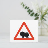 Vorsicht Moschee Oxen, Verkehrszeichen, Grönland Postkarte (Stehend Vorderseite)