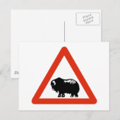 Vorsicht Moschee Oxen, Verkehrszeichen, Grönland Postkarte (Vorne/Hinten)