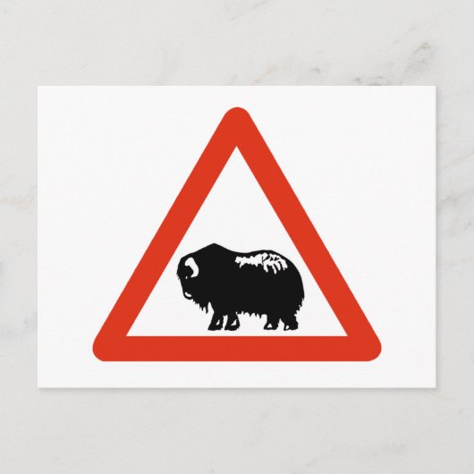 Vorsicht Moschee Oxen, Verkehrszeichen, Grönland Postkarte (Vorderseite)