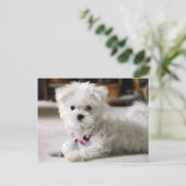 Vorsicht! Postkarte (Stehend Vorderseite)