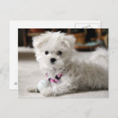 Vorsicht! Postkarte (Vorne/Hinten)