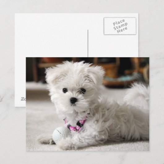 Vorsicht! Postkarte (Vorne/Hinten)