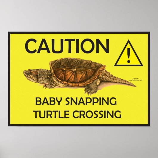 Vorsicht Schnappschuss Schildkröte Crossing Poster (Vorne)